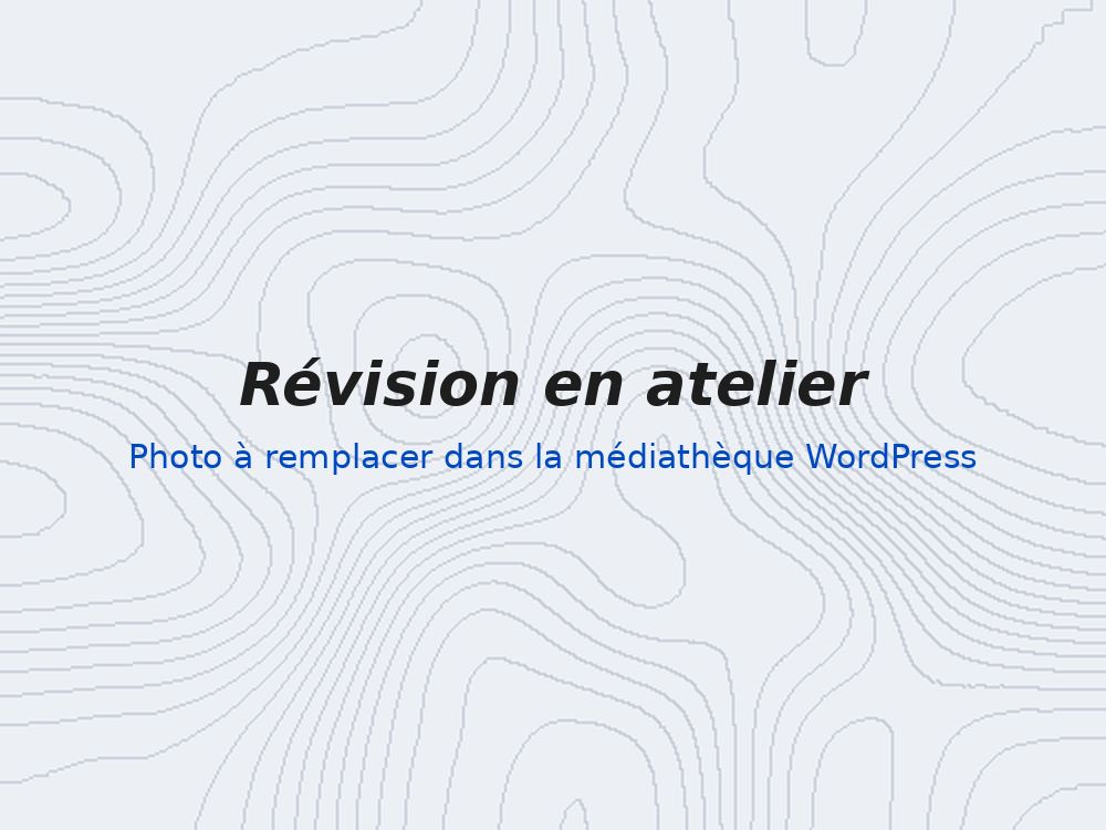 Révision en atelier (photo provisoire)